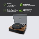 Tocadiscos - Muse MT-106 BT, Bluetooth, USB, RCA, 2x5 W Madera