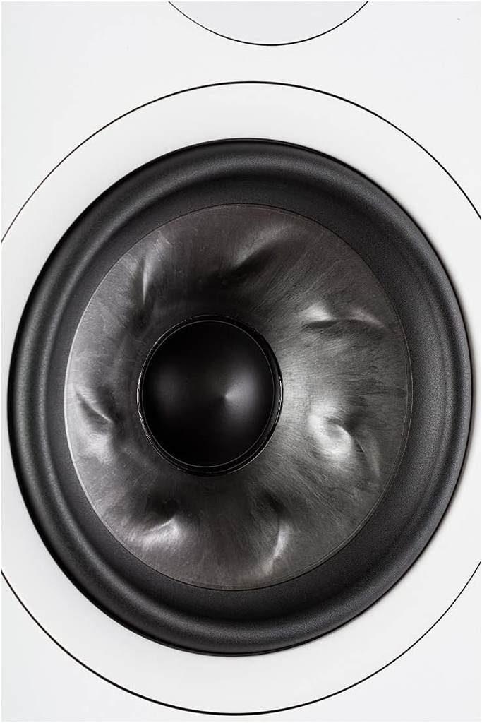 Polk audio Reserve R-500 Black Altavoces HiFi suelo Pareja R500