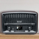 Muse M-135 DBT Radio Digital, Dab+ FM, Radio Reloj Dual Alarma, Pantalla LCD, 2 x 5 vatios