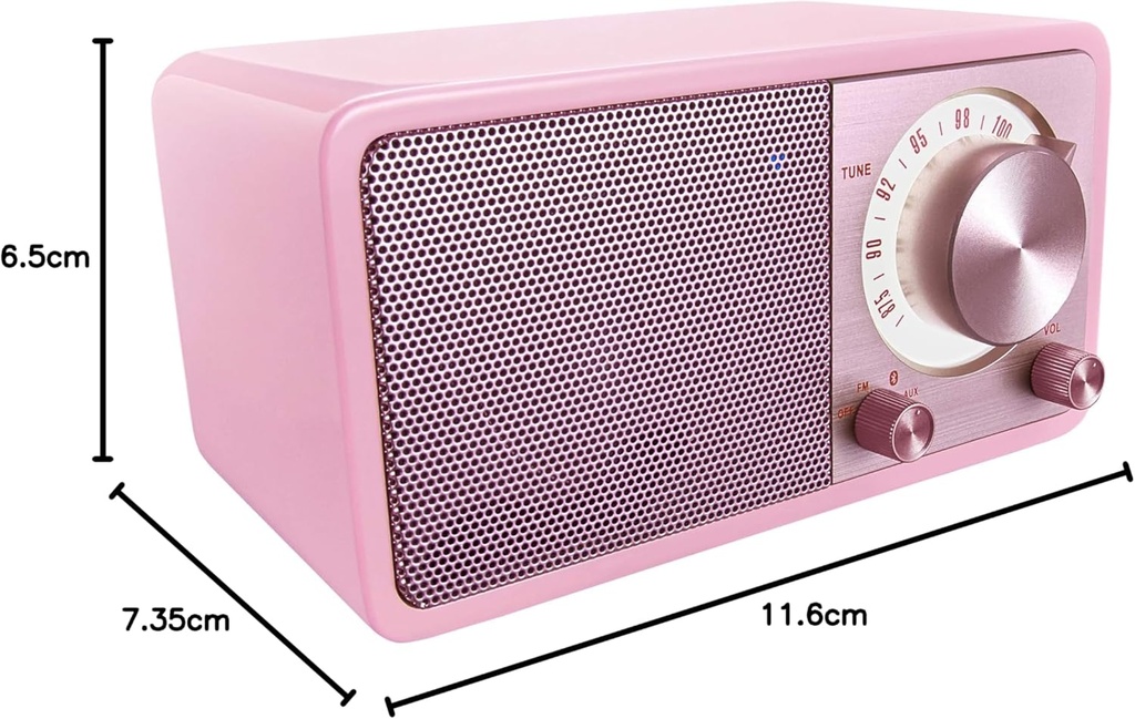 Sangean WR-7WL - Mini altavoz Bluetooth con sintonizador FM y entrada auxiliar