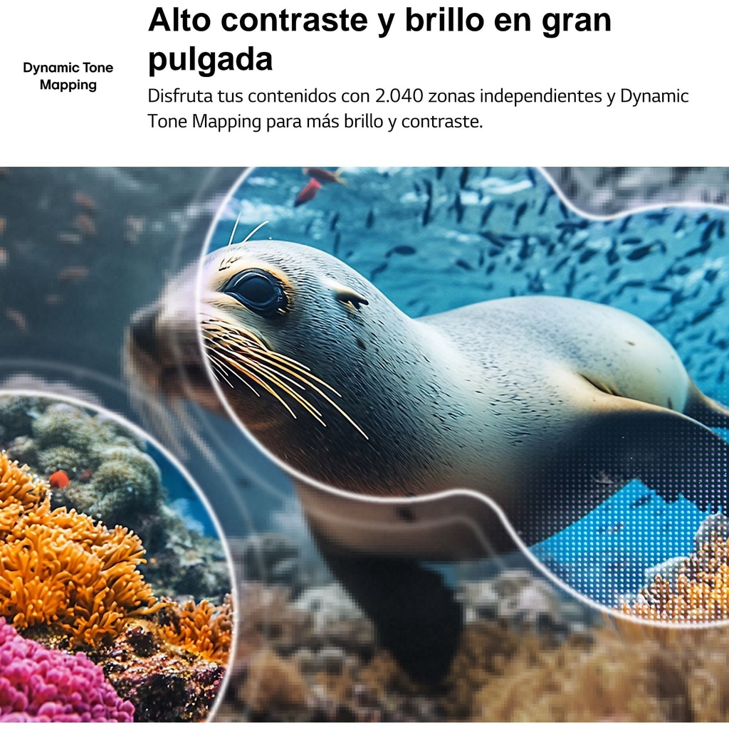 LG 75NU850B6LA, TV LED, UHD 4K, Procesador Inteligente α7 AI Processor 4K Gen9, Tecnologia NANO, Smart TV Web OS
