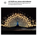 LG OLED77G64LW, TV OLED 65", 4K, 120Hz, procesador 4K IA α11 Gen3, Smart TV