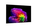 LG OLED83G64LW, TV OLED 83", 4K, 120Hz, procesador 4K IA α11 Gen3, Smart TV