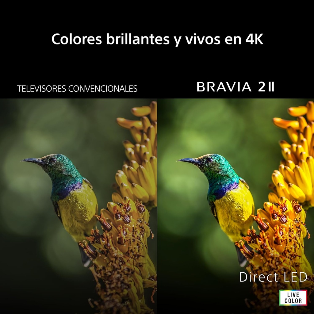 Sony K43S20M2, BRAVIA 2 II, 4K Ultra HD, LED, 43" Google TV