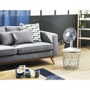 Rowenta VU2330F2, ventilador de mesa, 30cm, 3 velocidades, blanco